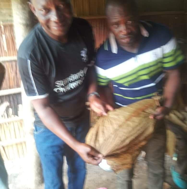 Formation du personnel