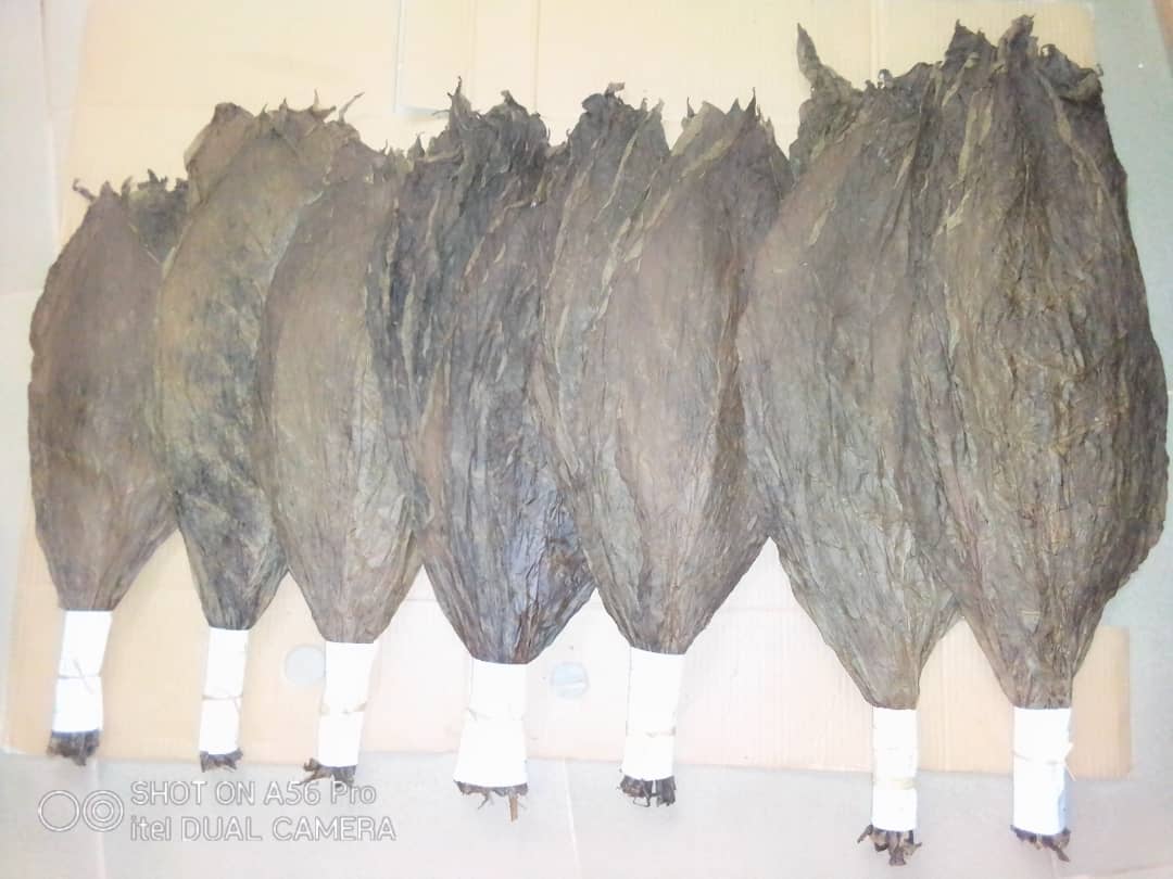 Sensibilisation aux Mesures Sanitaires COVID-19